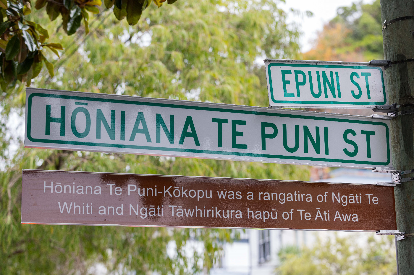 Hōniana Te Puni Street